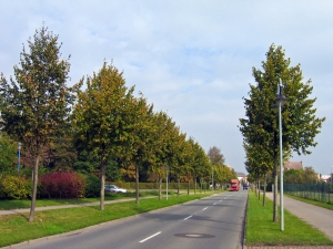 idyllic-autumn-street-scenery-1367912-m